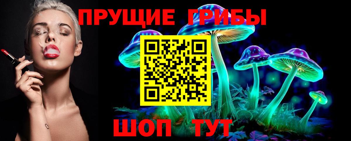что такое наркотик  Псилоцибиновые грибы Psilocybe  Вход с VPN  Солнечногорск  Галлюциногенные грибы MAGIC MUSHROOMS 
